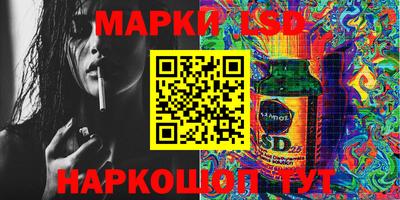 амф Можга