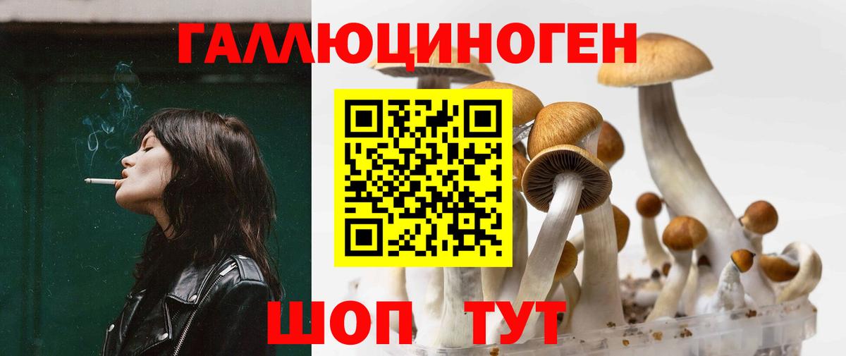 Псилоцибиновые грибы Cubensis  Вход с VPN  Галлюциногенные грибы GOLDEN TEACHER  Пыть-Ях 